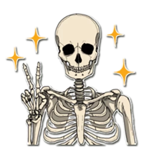 das skelett, das muster des skeletts, aufkleber mit skelett, totenkopf cartoon