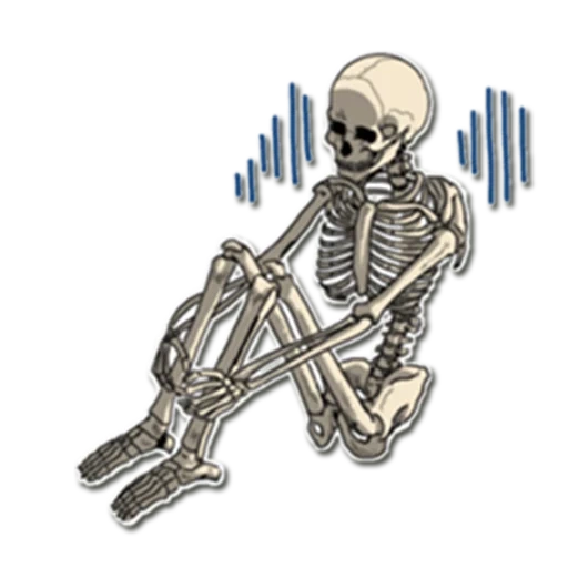 das skelett, the skeleton, das skelett, skelett ohne hintergrund, aufkleber mit skelett