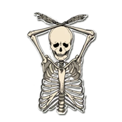 das skelett, das skelett des körpers, skelett ohne hintergrund, aufkleber mit skelett