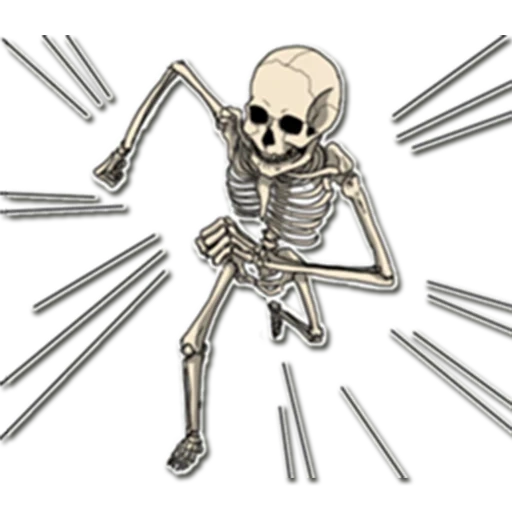 das skelett, the skeleton, zeichnung des skeletts, das skelett des bleistifts