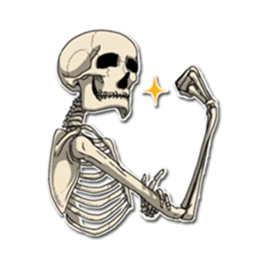 skeleton, skeleton, skeleton, skull sticker, skuli skull
