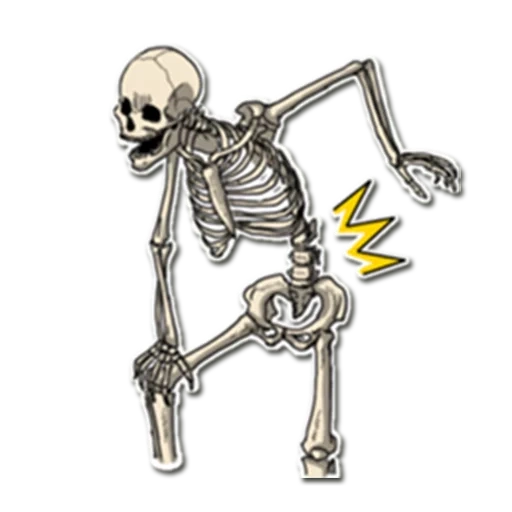 skeleton, skeleton, skeleton pattern, skull sticker