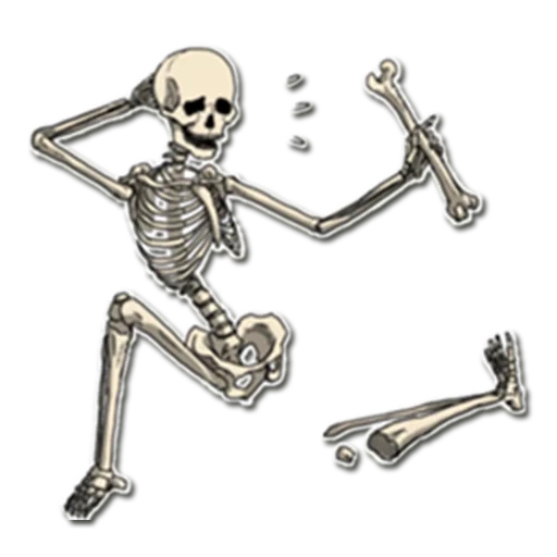 squelette, squelette, bob squelette, skateboard squelette, autocollants squelettes