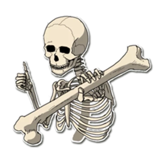 esqueleto, boceto del esqueleto, esqueleto sin fondo, pegatinas de esqueleto