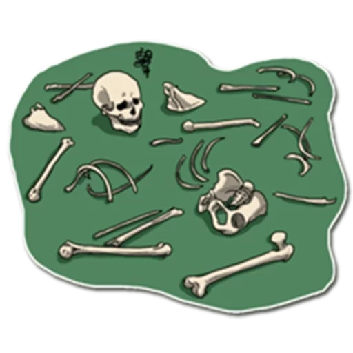 esqueleto pak, cráneo pirata, patrón de cráneo con huesos, llave de todas las puertas, huesos piratas sin cráneo