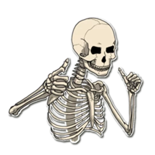 das skelett, skelettskizze, aufkleber mit skelett, totenkopf cartoon