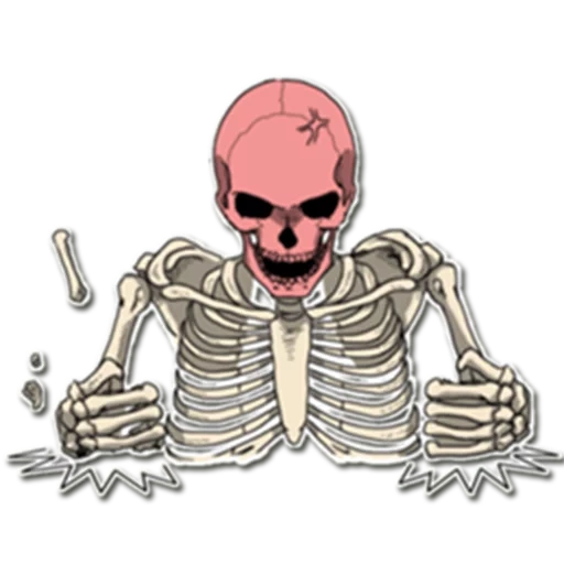 das skelett, the skeleton, bob skull, skelett des schädels, aufkleber mit skelett