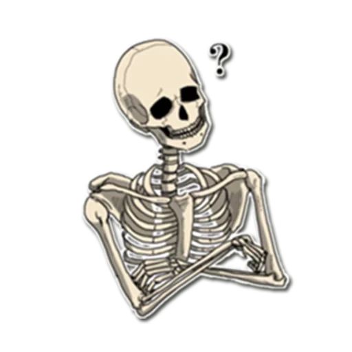 scheletro, scheletro bob, cranio scheletrico, adesivi scheletro