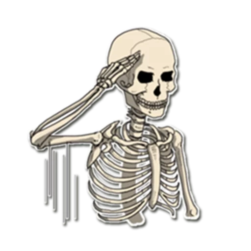 scheletro, scheletro bob, scheletro meme, cranio scheletrico, adesivi scheletro