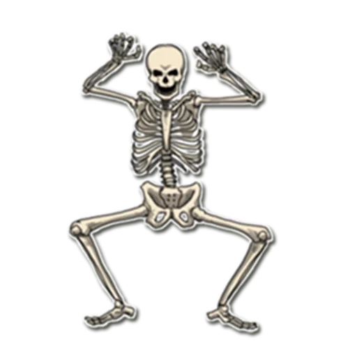 squelette, bob squelette, drôle de squelette, figurine squelettique, squelette heureux