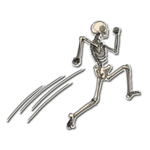 esqueleto, esqueleto de figura, huesos del esqueleto del dnd