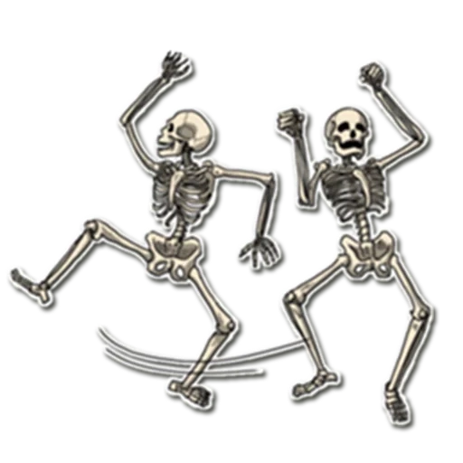 squelette, squelette, drôle de squelette, squelette joyeux