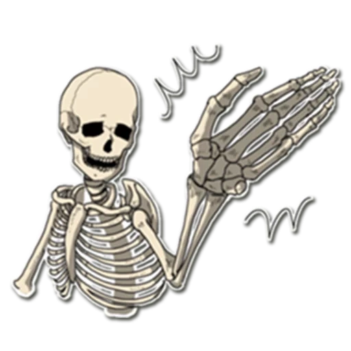 esqueleto, esquelético, um esqueleto sem fundo, adesivos de esqueletos