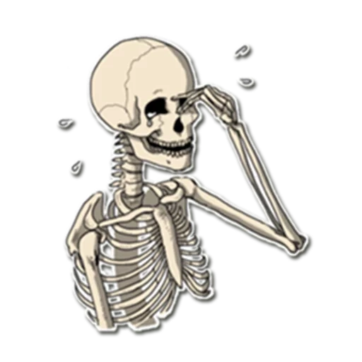 das skelett, totenkopf und totenkopf, aufkleber mit skelett, totenkopf cartoon