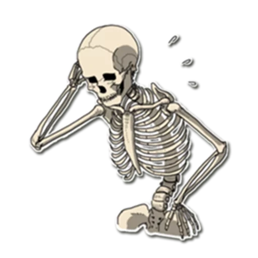 skeleton, bob's skull, background-free skeleton, skull sticker