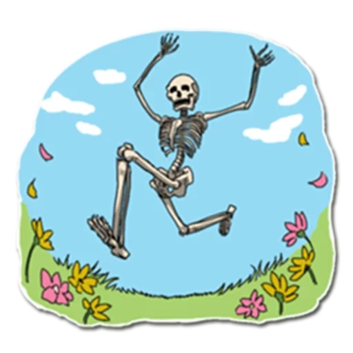 скелет, skeleton, боб скелет, танцующие скелеты