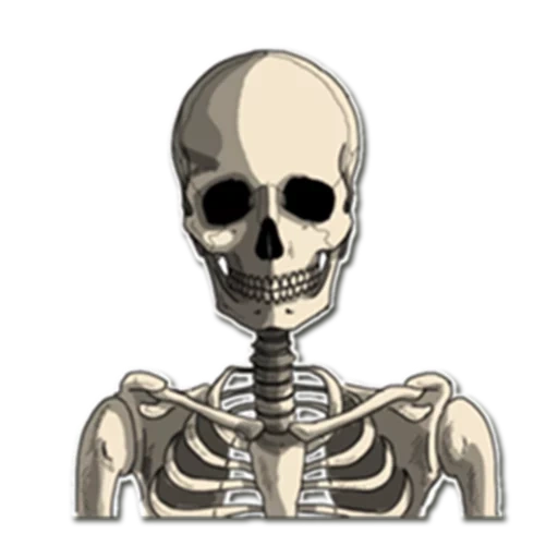 das skelett, das skelett des kopfes, skelett des schädels, aufkleber mit skelett