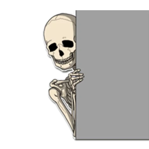 scheletro, scheletro osseo, scheletro senza sfondo, adesivi scheletro