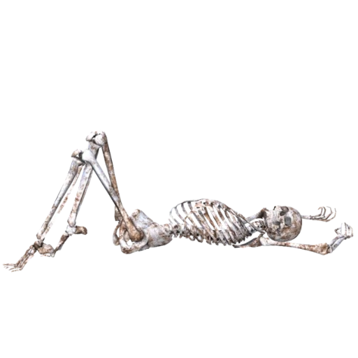 skelett der pose, skelett des knochens, skelett liegt, skelett auf einem weißen hintergrund, skelett