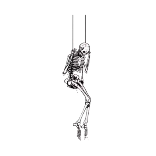 squelette suspendu, squelette suspendue, squelette tient, dessin du squelette, squelette