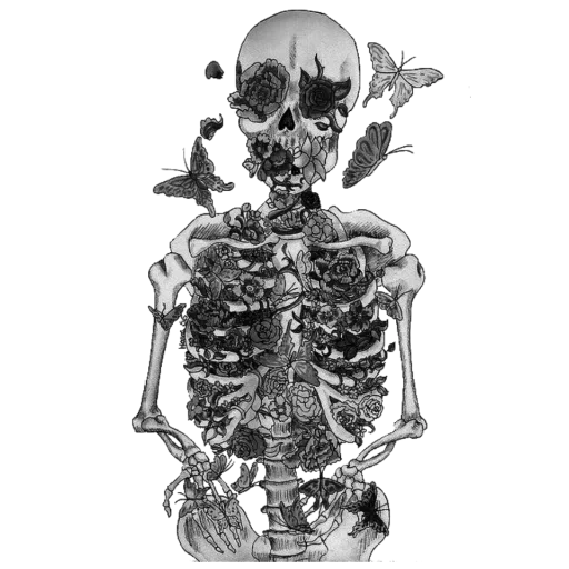 скелет на черном фоне арт, скелет чб, скелет в цветах, рисунок скелета, скелет человеческий