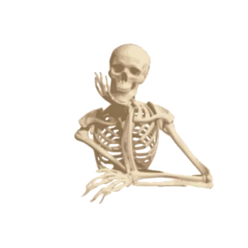 esqueleto costa, huesos esqueleto humanos, esqueleto humano, esqueleto, cubierta de esqueleto