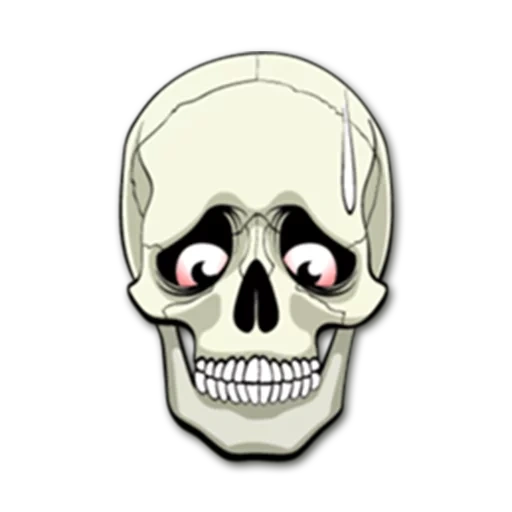 pack, sketch of the skull, skull sticker, skull drawing