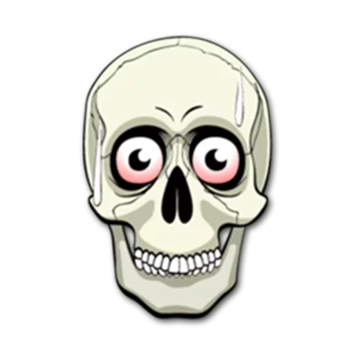 skull, crâne, crâne, crâne binoculaire, stickers squelette