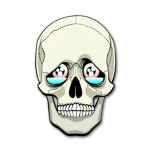 cranio, scull, schizzo, disegno del cranio, cartoon skulls stampa