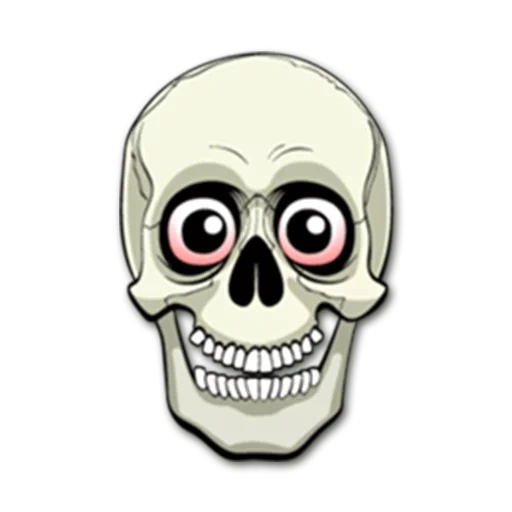 skull, crâne, crâne binoculaire, smiling skull