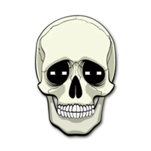 paquete, boceto, esqueleto del cráneo
