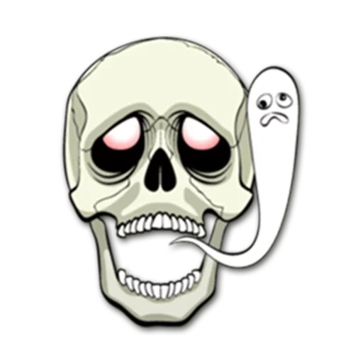 crâne, croquis de squelette, illustration de squelette