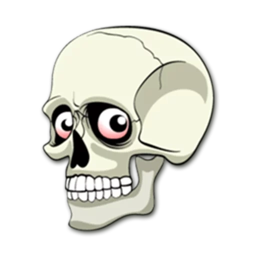 scull, bone skull, sketch of the skull, skeleton of the skull, skull sticker