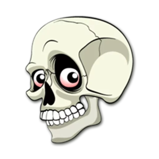 squelette du crâne, stickers squelette