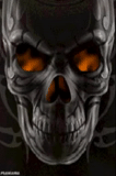 crâne, crâne, cavella, thème du crâne, black skull
