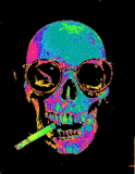 skull, greasy spoon, skull cigar, skull cigarette, warren zevon mr bad example