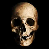 scull, o crânio da morte, esqueleto do crânio, o homem se enforcou, crânio humano
