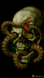 serpent squelette, os de tête de serpent, serpent squelette, le côté obscur, téléphone squelette serpent