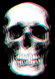 crâne, yegor letov, os de crâne, crâne noir, beau squelette