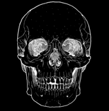 scull, lo sfondo del cranio, skull grunge, il cranio è nero, disegno del cranio