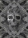 skull, lace skeleton, skull lace, graphic art, skeleton lace