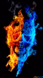 fire, fire and water, blue light, fire skull, live wallpaper fire android