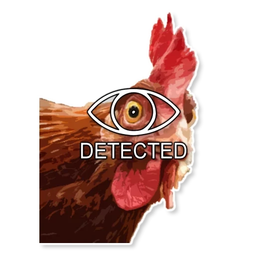 скайрим стикеры телеграмм, whatsapp, detected мем, курица, взгляд курицы
