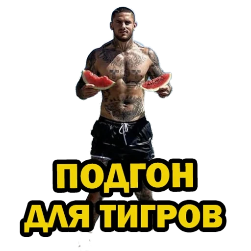 боец, бойцы мма, бойцы ufc, майк свик боец, ultimate fighting championship