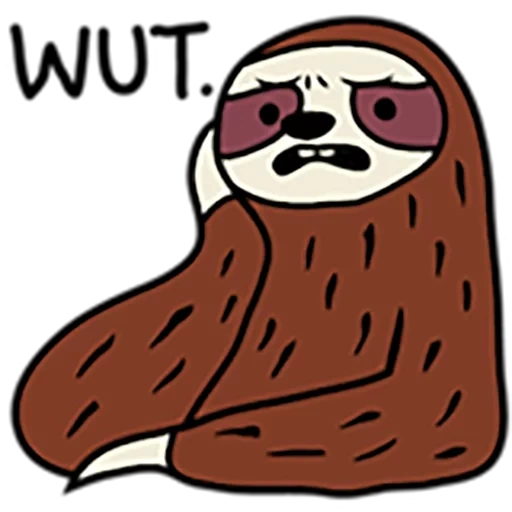 a sloth, sloth coffee