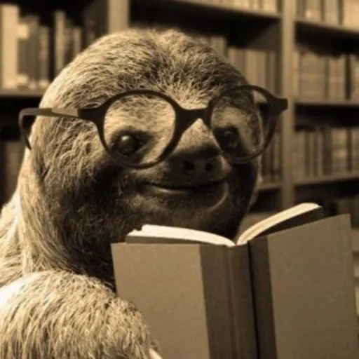 books, a sloth, animals, efim zermanov