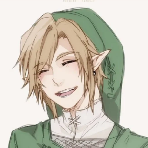 elfo, animação, link zelda, link sorri, personagem de anime