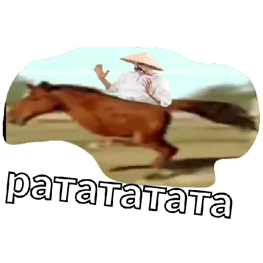 caballo, caballo de bóveda, caballo de caballo, caballo animal, caballo bípedo