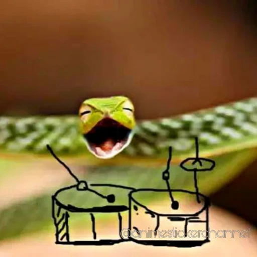 змея, змея 6к, зеленая змея, смешная змея, ahaetulla nasuta