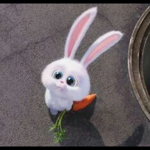 cartoon bunny life life, kelinci dari kehidupan rahasia, kelinci lucu, kartun bola salju kelinci, kelinci